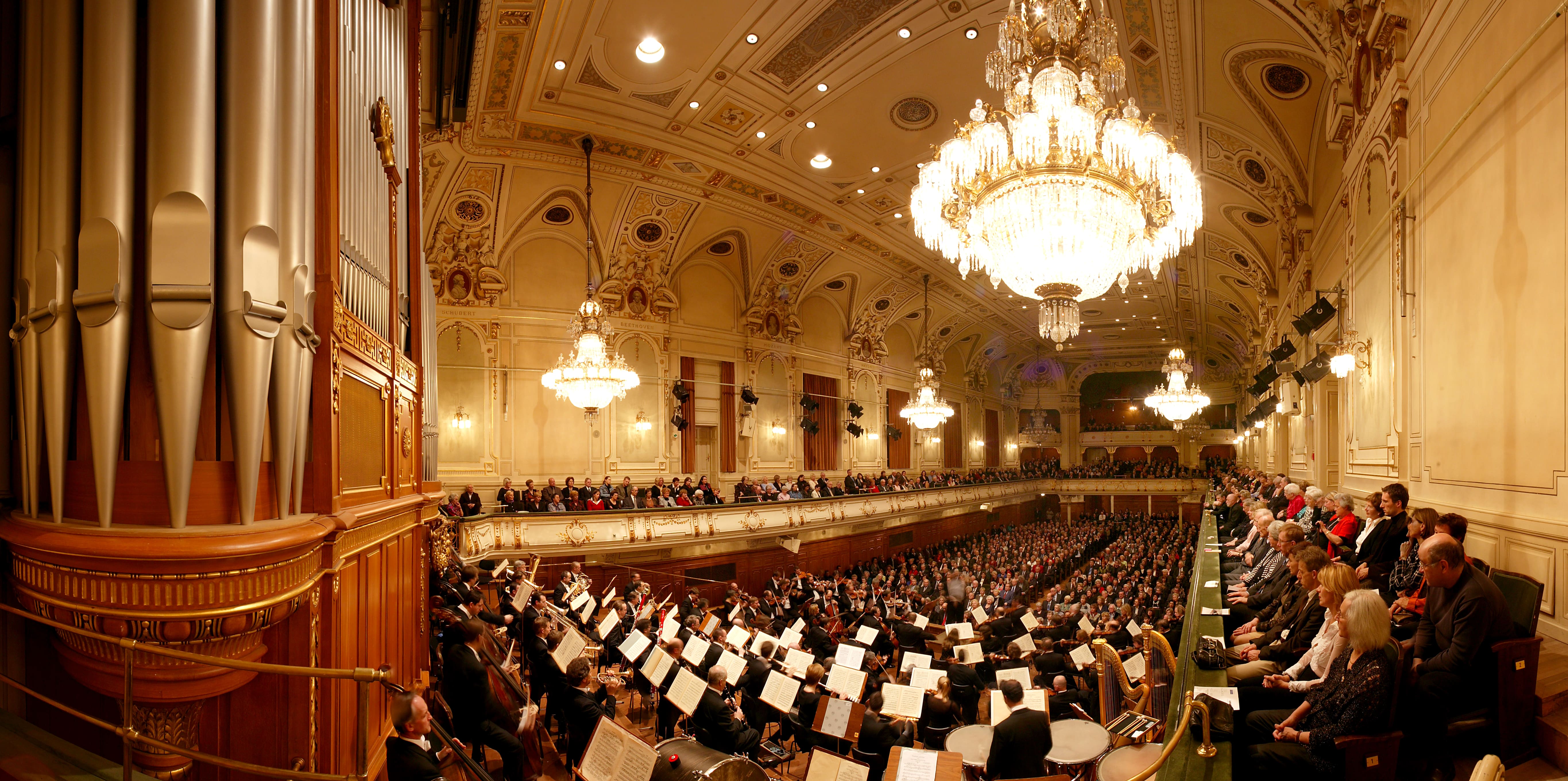 Musikverein entdecken!: Musikverein entdecken!